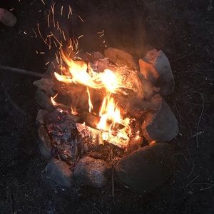 Meet your Posher, Bruce